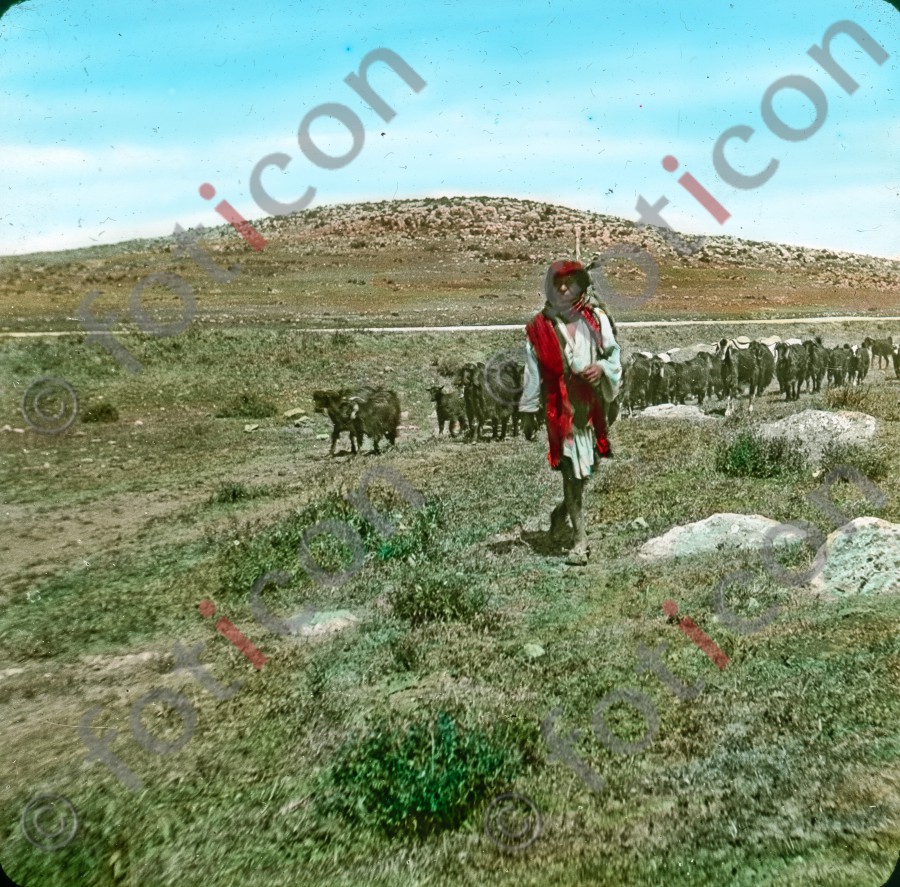 Hirte bei Bethlehem | Shepherd near Bethlehem (simon-101-013.jpg)